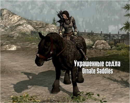 Подробнее о "Украшенные седла"