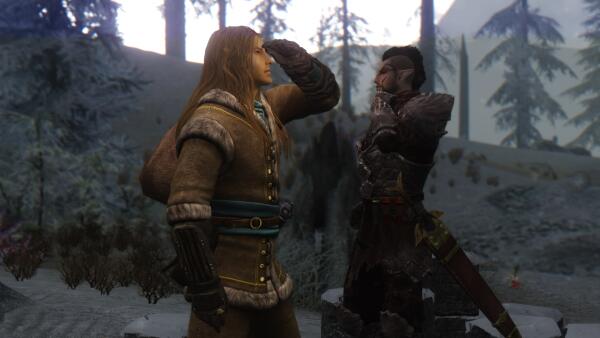Elven Mercenaries