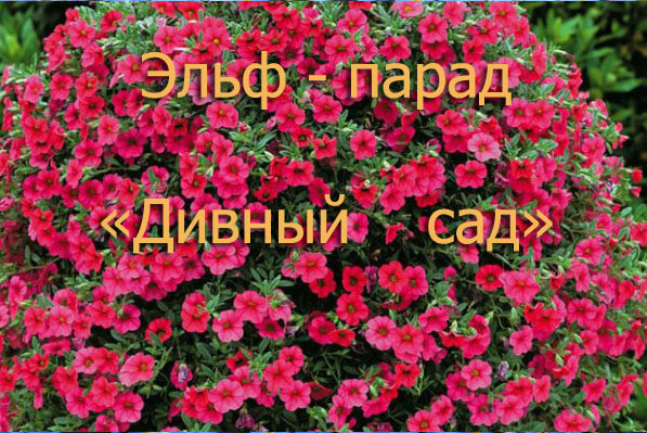 заставка в анонс.jpg