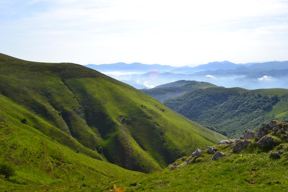 DSC_0103.JPG