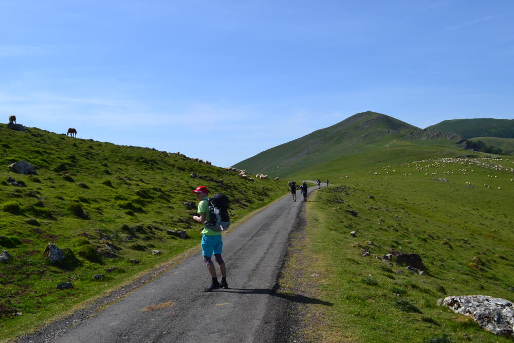 DSC_0133.JPG