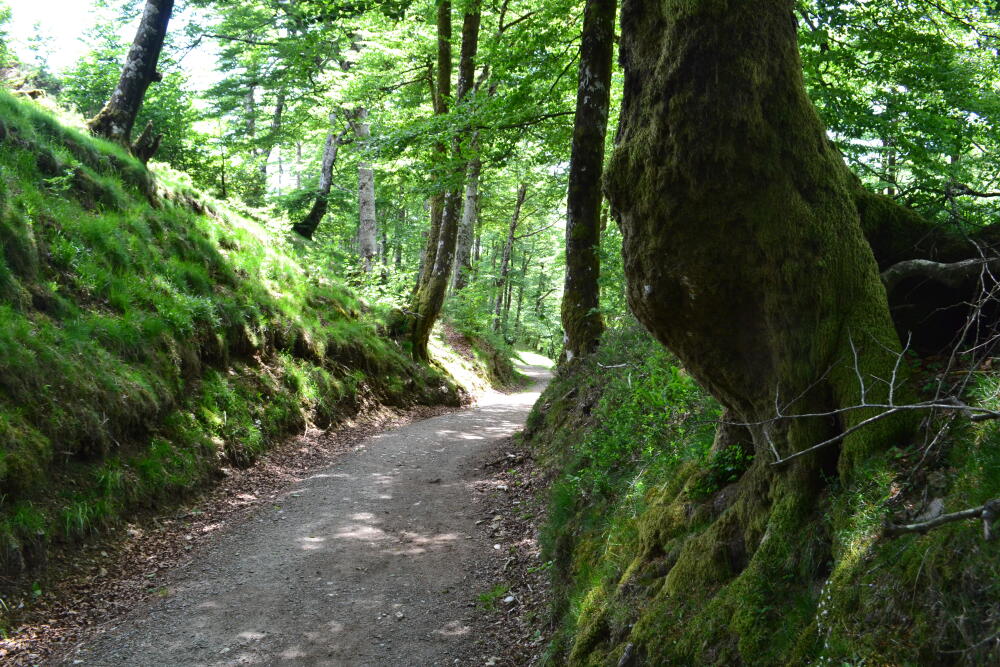DSC_0189.JPG