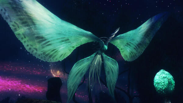 Moonlight Butterfly