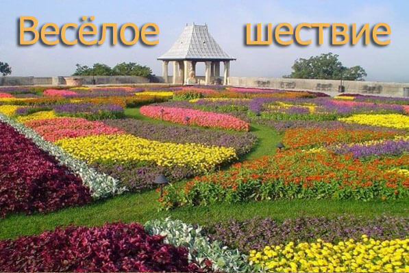 весёлое шествие.jpg