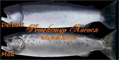 Подробнее о ""
