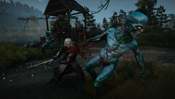 The Witcher 3: Ansel-2