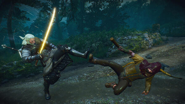 The Witcher 3: Ansel-4