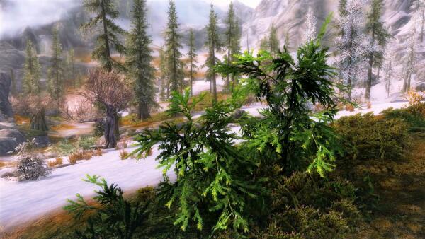 Skyrim