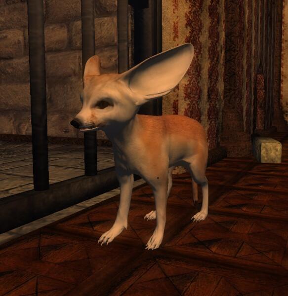 fennec Fox