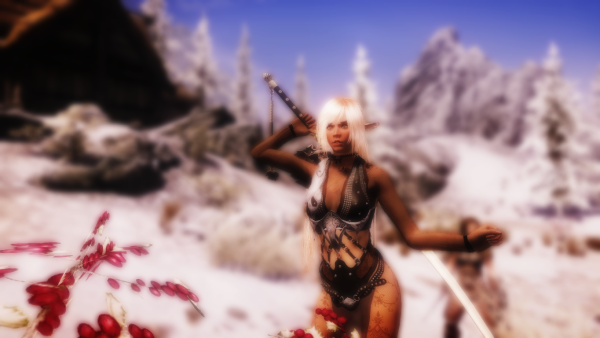BDO Dark Knight