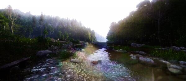 Nature