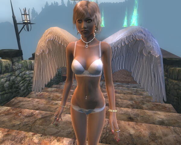 Oblivion, Champion of Cyrodiil :)