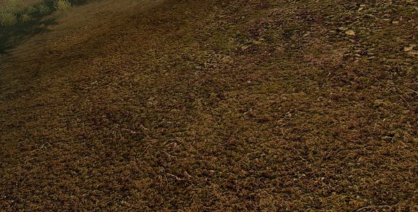 landscape texture soil cover