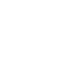 IV.png