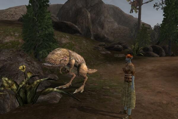 Morrowind