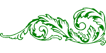 leaves-152908_640 виньетка.png
