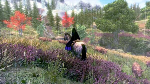 Rigmor of Cyrodiil