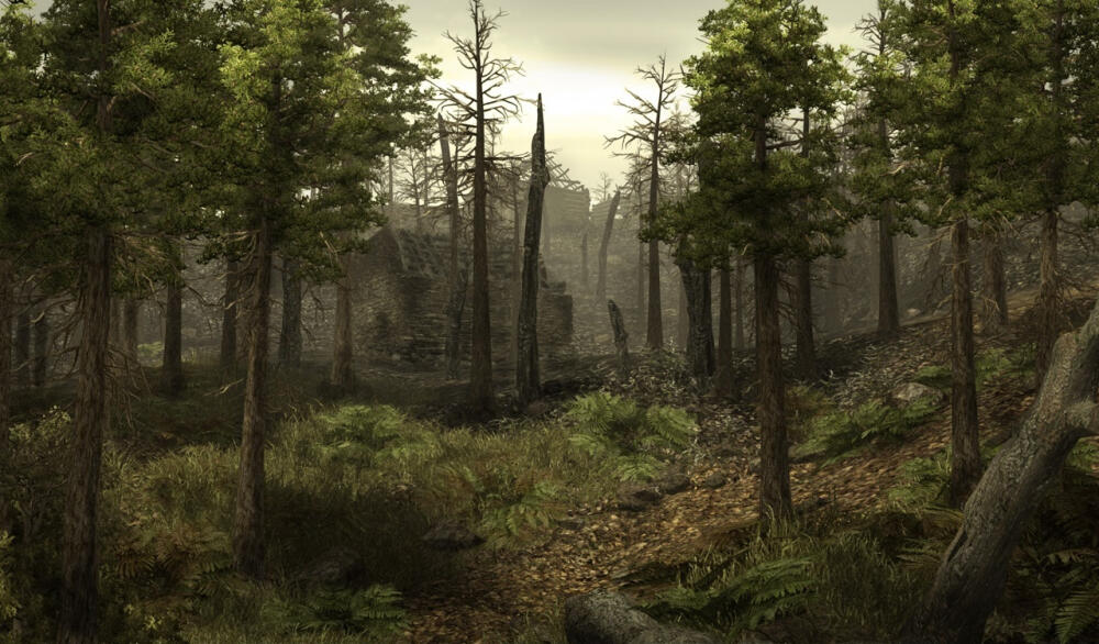aphexx-burned-forest-villag-1-731e4847-621i.jpg