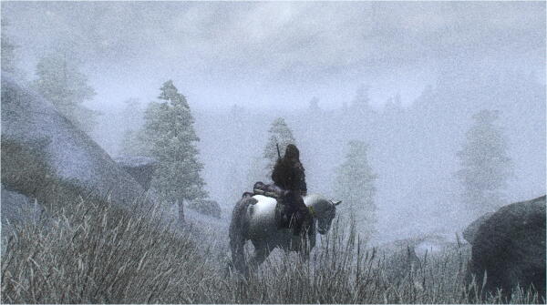 Tundra.