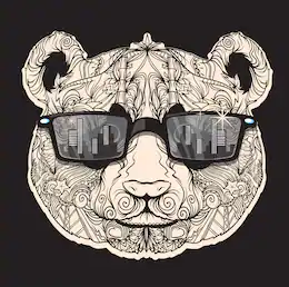 vector-beautiful-indian-panda-styles-260nw-508625344.png