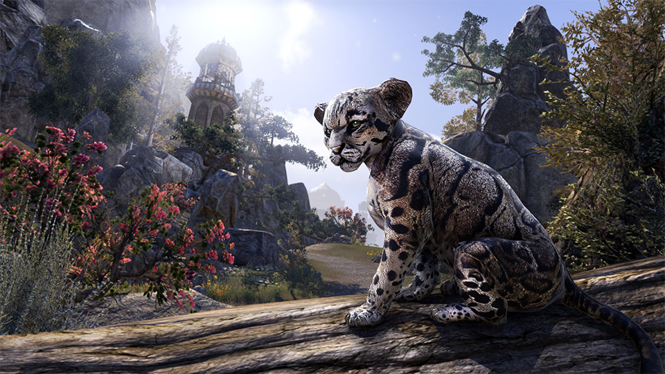 BGD_ESO_Cub.jpg