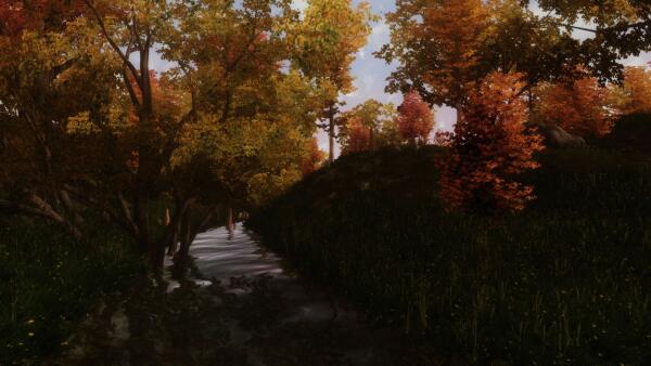 Nature