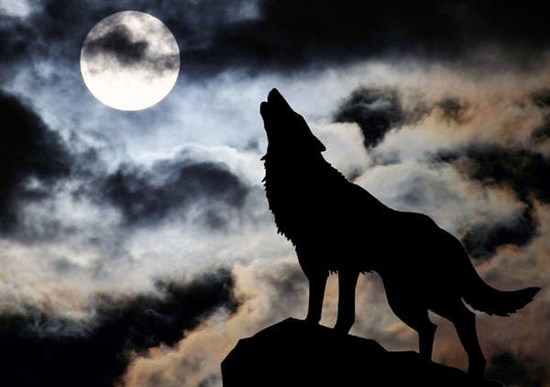 124_volk_voet_na_lunu.jpg