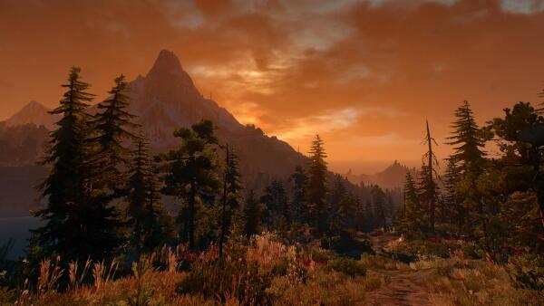 witcher 3