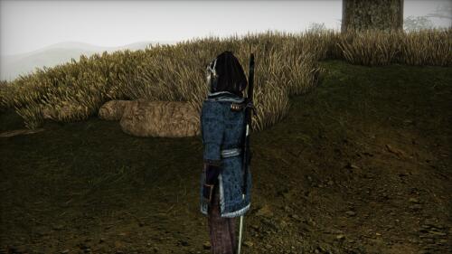Подробнее о "Оружие в ножнах - Tamriel Rebuilt"