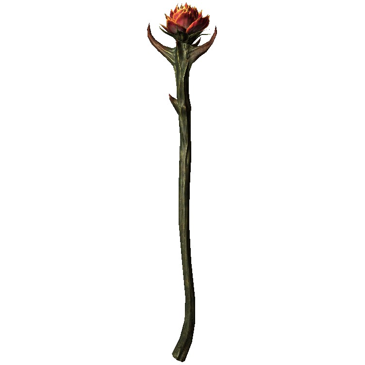 SanguineRose.jpg