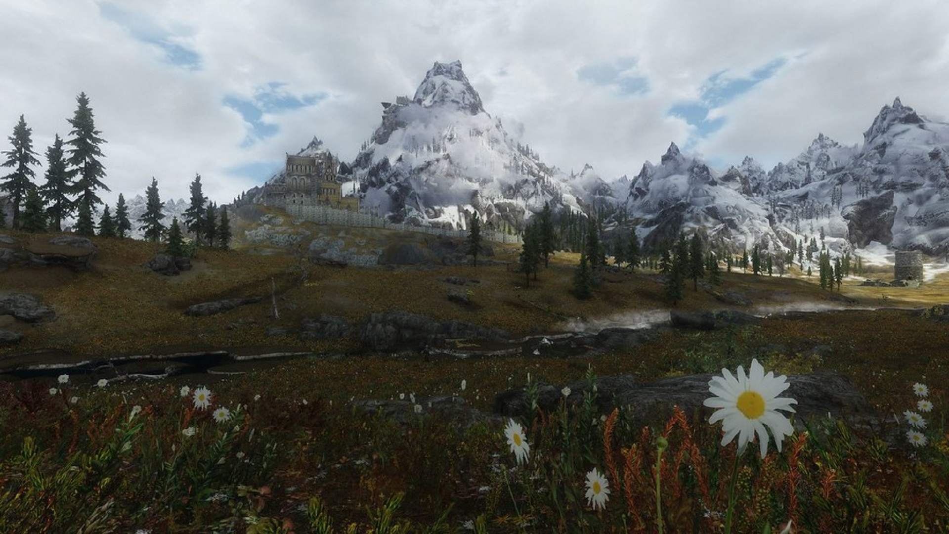 Enb BOOSTER/ Enb бустер