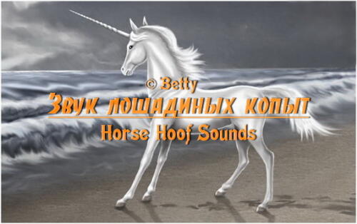 Подробнее о "Звук лошадиных копыт"