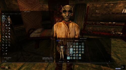 Подробнее о "Интерфейс в стиле Skyrim"