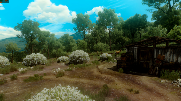 The Witcher 3 Screenshot 2019.09.18   23.12.30.61