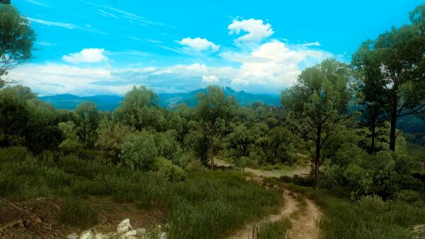 The Witcher 3 Super Resolution 2019.09.18   23.07.52.64