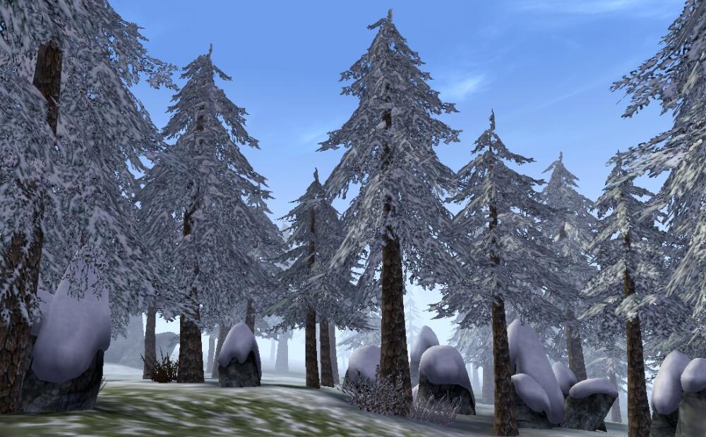 Hirstaang_Forest.jpg