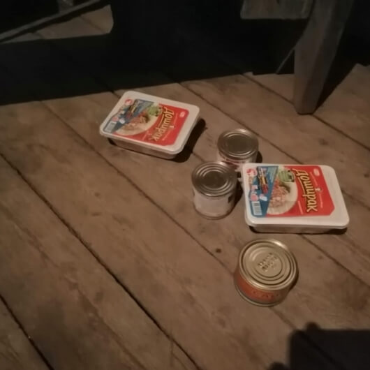 Доширак.jpg