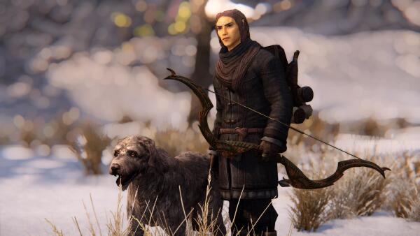 Elven Hunter