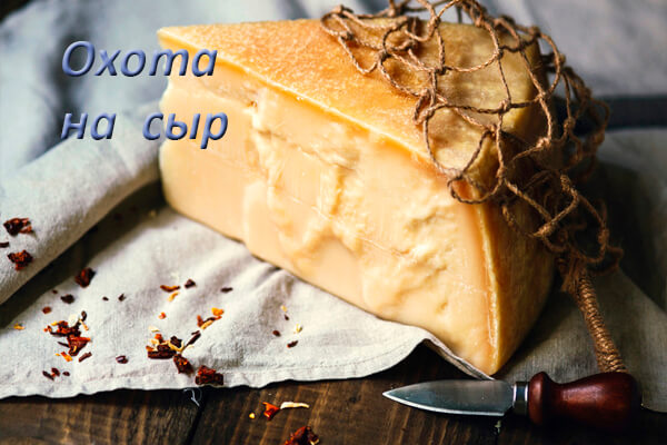 Охота на сыр.jpg