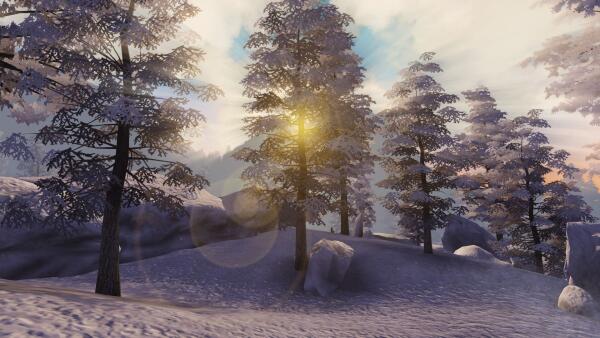 The winter morning