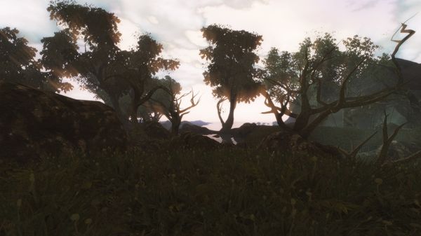 Morroblivion SeydaNeen13
