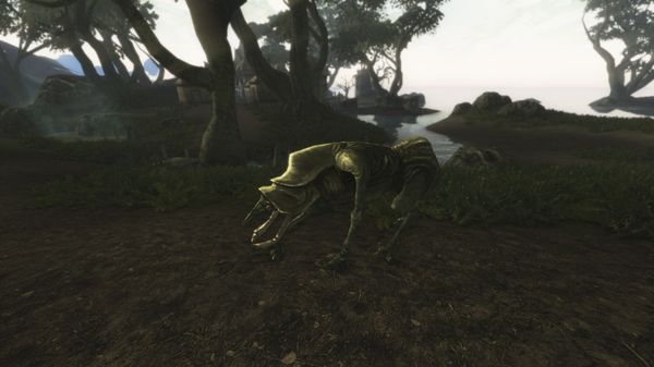 Morroblivion SeydaNeen15