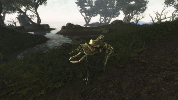 Morroblivion SeydaNeen16