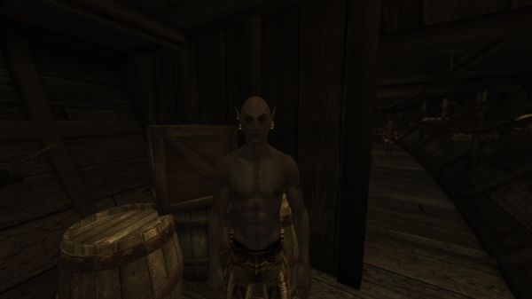 Morroblivion SeydaNeen17