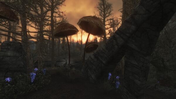 Морфал