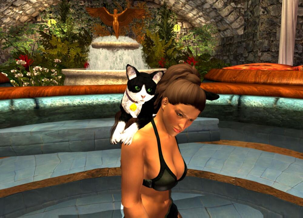 02.jpg