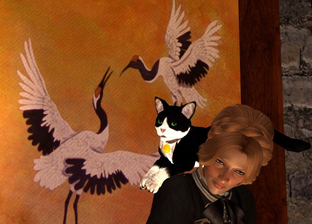 03.jpg