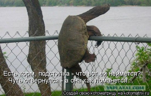 041eb2efca14388fbb8423bfbdb9bcbb.jpg.jpeg