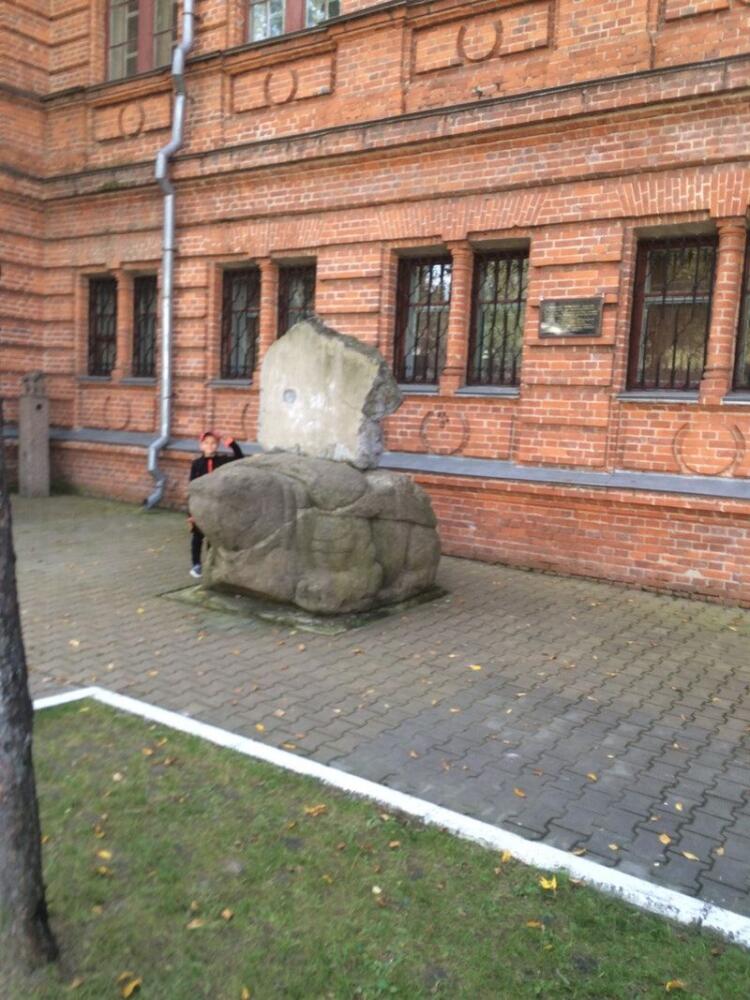 1_big_skulptura-kamennaia-cherepakha.jpg.jpeg