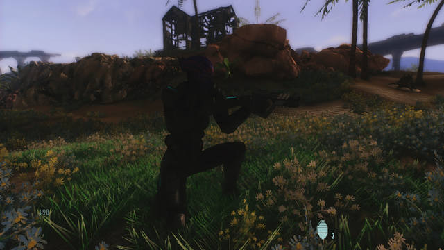 10633850_m.jpg.jpeg